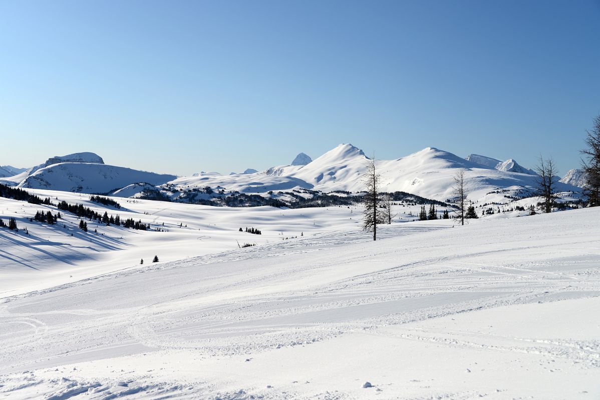 07E Citadel Peak, Mount Assiniboine, Quartz Hill, Simpson Ridge From Top Of Strawberry Chair At Banff Sunshine Ski Area